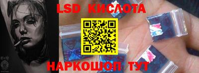 крисы Кингисепп
