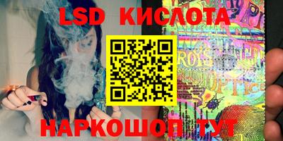 крисы Кингисепп