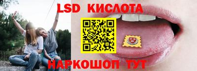 крисы Кингисепп