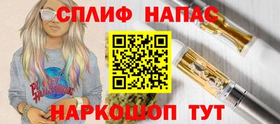 крисы Кингисепп
