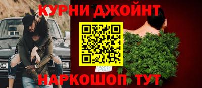 крисы Кингисепп