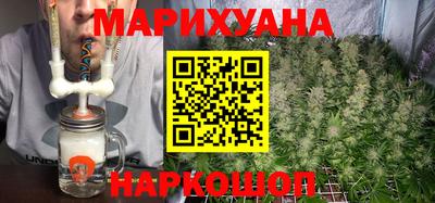 крисы Кингисепп