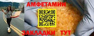 крисы Кингисепп
