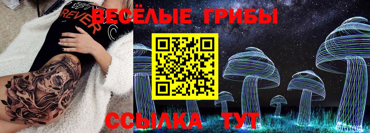 Галлюциногенные грибы GOLDEN TEACHER  Вход с VPN  Красноуфимск 
